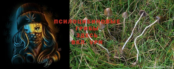 дживик Бугульма