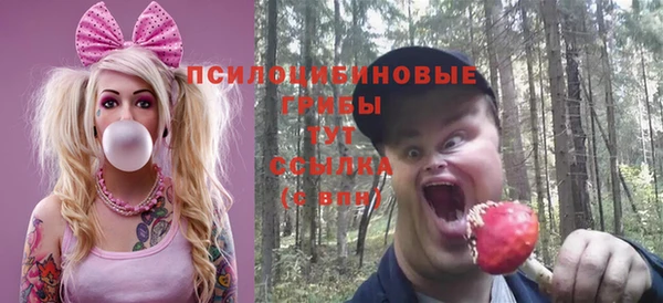 дживик Бугульма