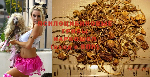 дживик Бугульма