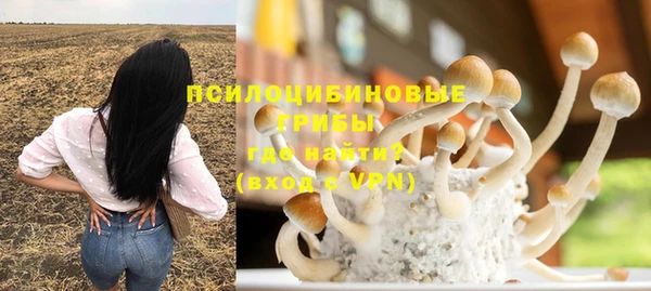 круглые Бронницы