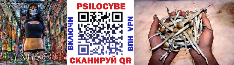 Псилоцибиновые грибы мухоморы  Купить  Мариинский Посад 